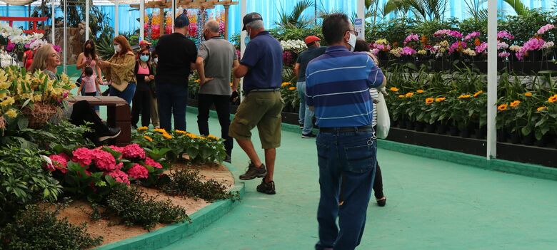 Feira de Flores de Arujá começa neste final de semana com exposição e venda