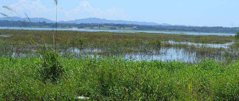Nível de represas chega a 47,80% da capacidade