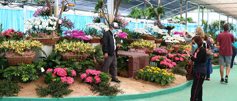 Expo Aflord tradicional feira de flores de Arujá promovida pelos produtores da Região da Via Dutra, chega no último final de semana