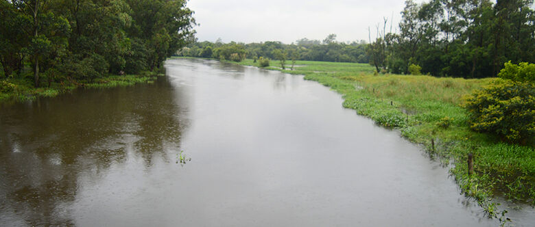 Mancha de poluição no rio Tietê aumenta mais de 40% em um ano