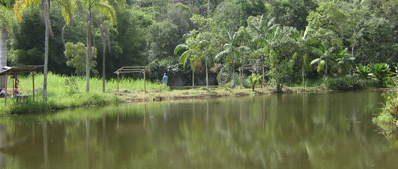 Reserva Miraporanga continua com futuro incerto em Suzano