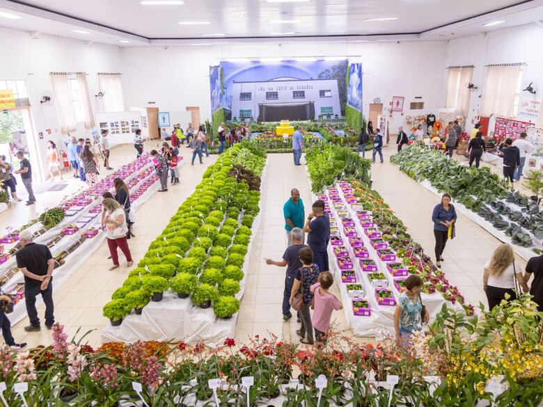 Furusato Matsuri oferece atividades para toda a família neste sábado e domingo