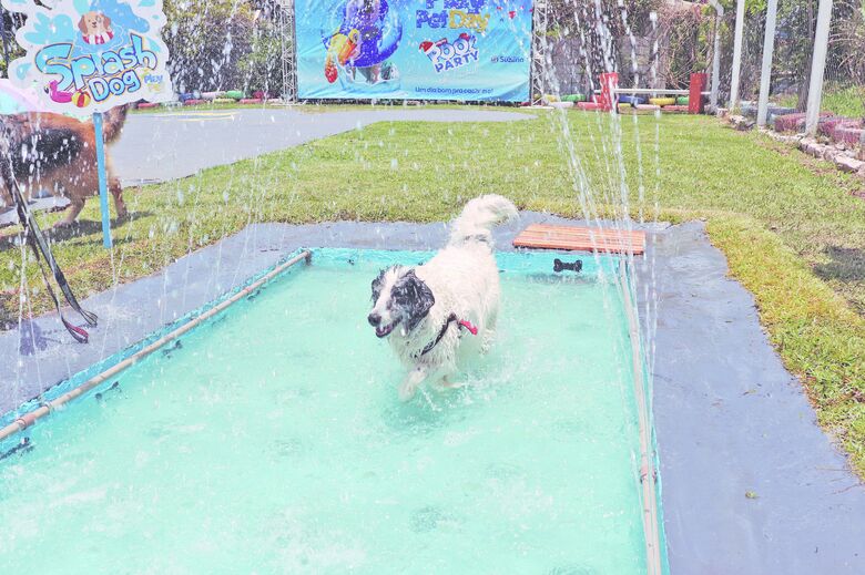 PlayPet de Suzano inicia 2023 com a realização de novas inscrições e recadastramentos para confecção de carteirinhas de acesso ao espaço