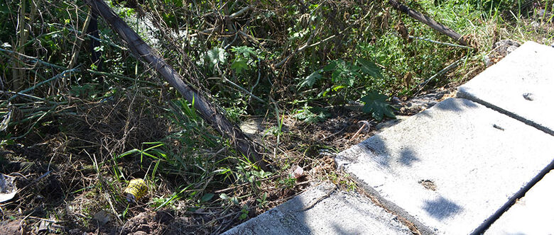 Cheiro incomoda moradores na Estrada Santa Mônica, em Suzano