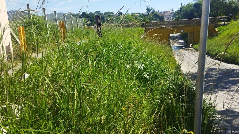 Moradores reclamam de situação em passagem de nível na linha de trem de carga