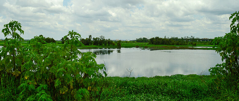 Projeto prevê ligação entre as cidades da região por meio do trecho. Projeto será apresentado ao Condemat