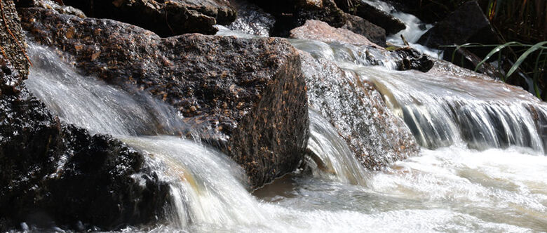 É executado pela Prefeitura de Suzano por meio da Secretaria Municipal de Planejamento Urbano e Habitação, passa a oferecer novas funcionalidades a fim de contemplar o Plano de Conservação