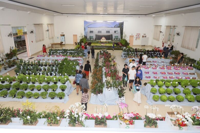 Furusato Matsuri acontece neste final de semana em Cocuera com diversas atrações para toda família