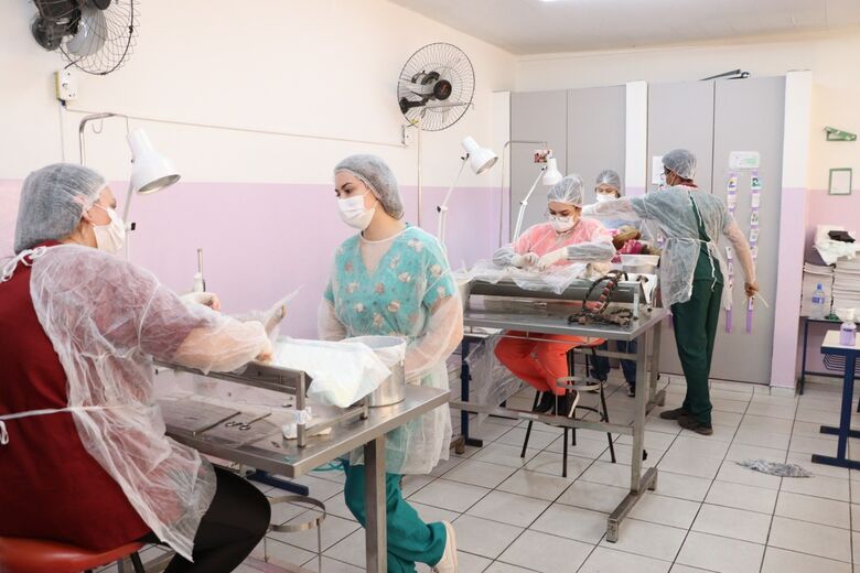 Meio Ambiente segue com inscrições para mutirão de castração de cães e gatos