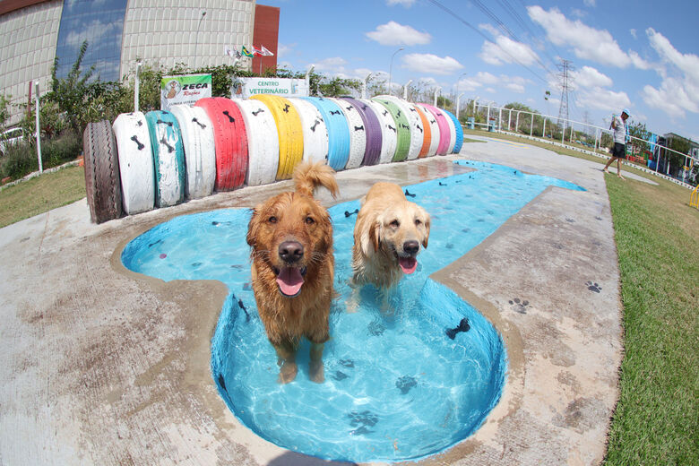 Suzano terá 'PlayPet Day' e 'Cãominhada' neste sábado  Atividades gratuitas têm como objetivo proporcionar um dia repleto de cuidados voltados ao bem-estar dos pets   A Prefeitura de Suzano realiza neste sábado (09/12) a segunda edição do 