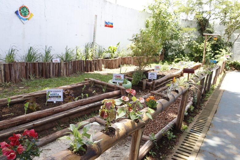 Educação inaugura horta pedagógica para 60 alunos do Jardim Monte Cristo