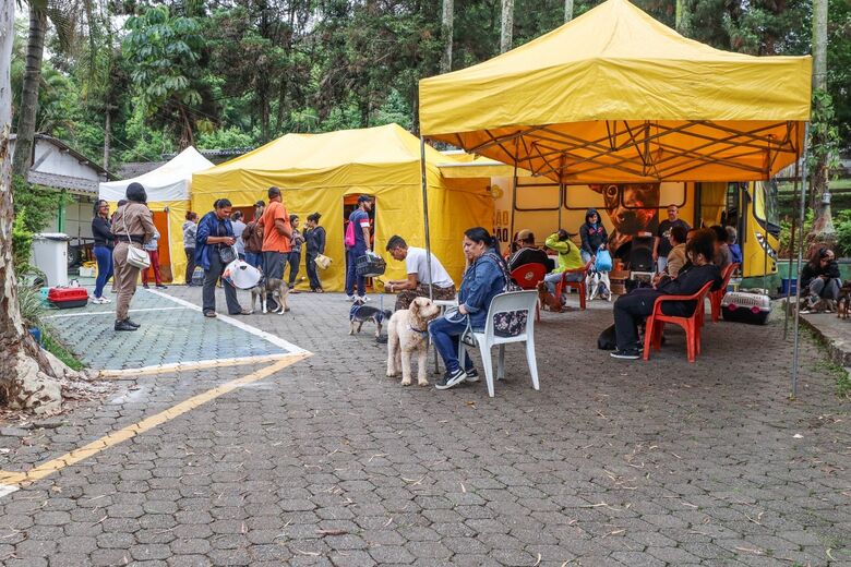 Ferraz terá inscrições para castração gratuita de cães e gatos