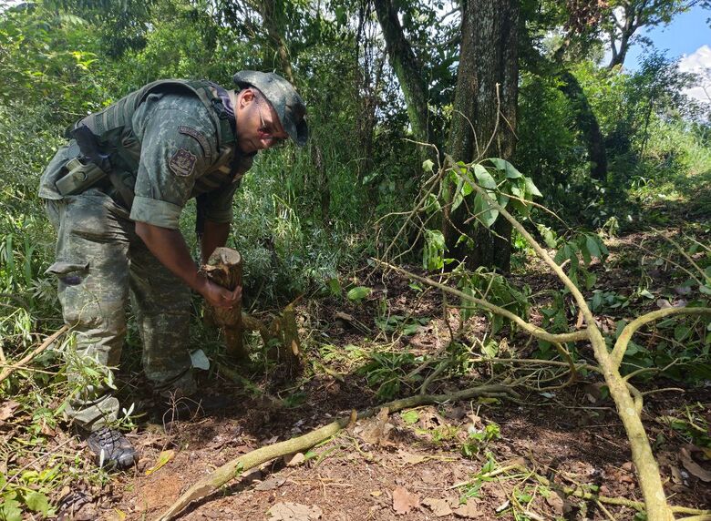 Guarda Ambiental de Itaquá flagra corte ilegal de árvores e aplica multa de R$ 3,5 mil