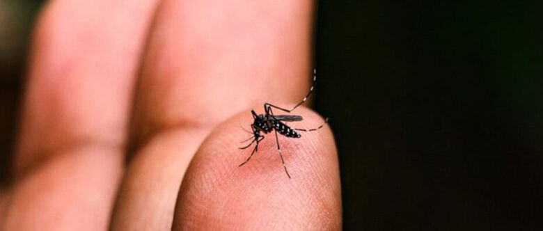 Mogi confirma primeira morte por dengue, a terceira no Alto Tietê