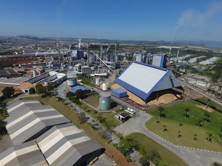 Suzano e Instituto Bold lançam projeto para incentivar a projeção de jovens no mercado de trabalho