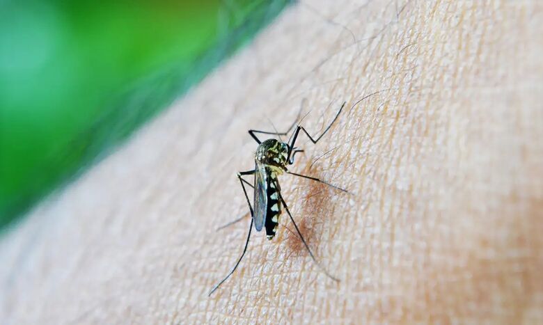 Argentina enfrenta risco crescente de epidemia de dengue