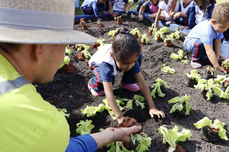 Alunos participam projeto de horta e pomar comunitários