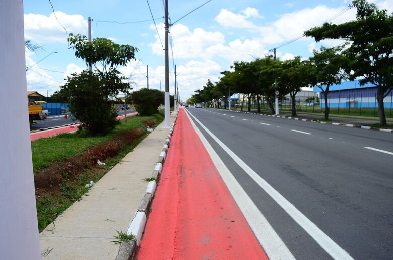 Ciclovia na Avenida Brasil tem boa aprovação e vira principal acesso