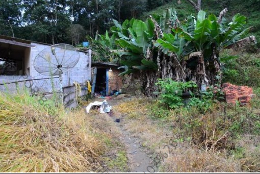Setor de homicídio de Mogi esclarece assassinato em Salesópolis