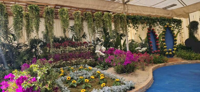 Festa de Flores de Arujá continua neste final de semana 