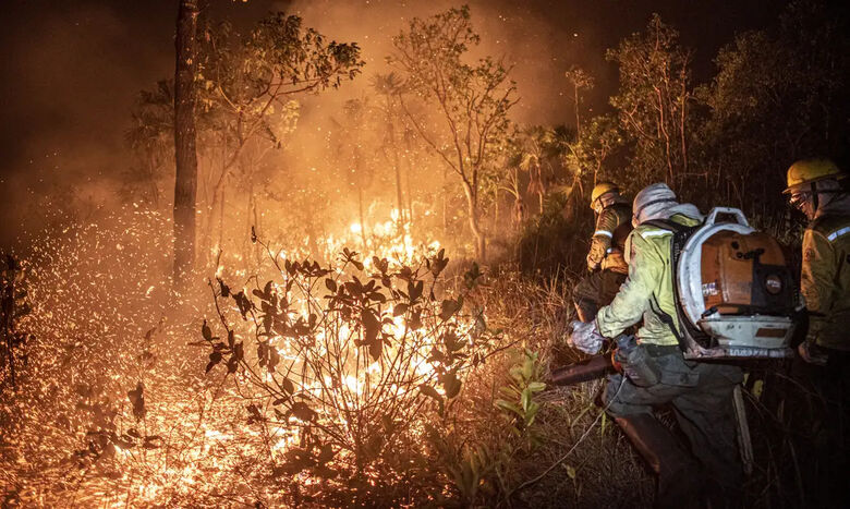 Monitoramento mostra que 99% dos incêndios são por ação humana