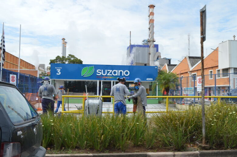 Empresa Suzano celebra o Dia da Árvore reforçando iniciativas sustentá