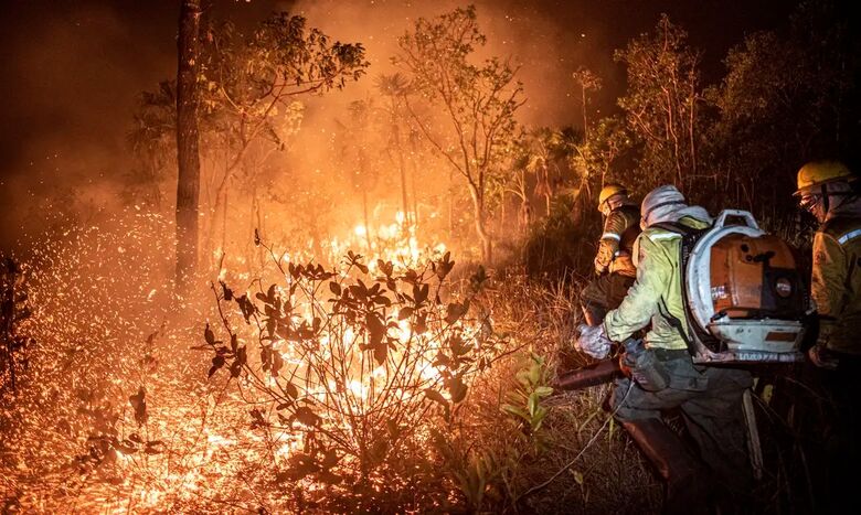 Em três estados da Amazônia o fogo consumiu 5,4 milhões de hectares