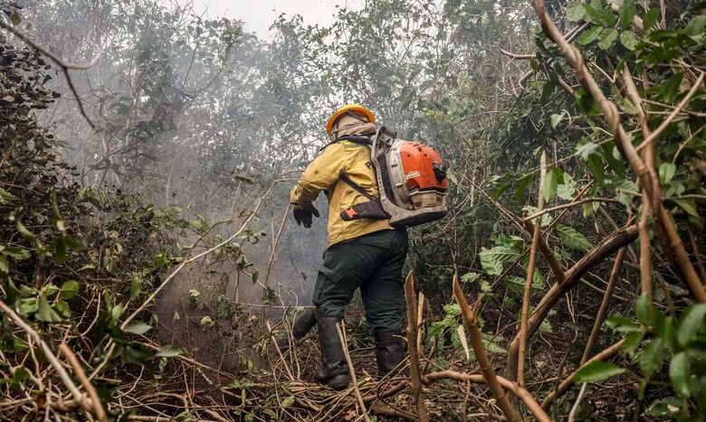 Fogo consumiu uma área de 333 mil hectares