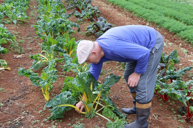 Suzano criou Programa Municipal de Aquisição de Alimentos