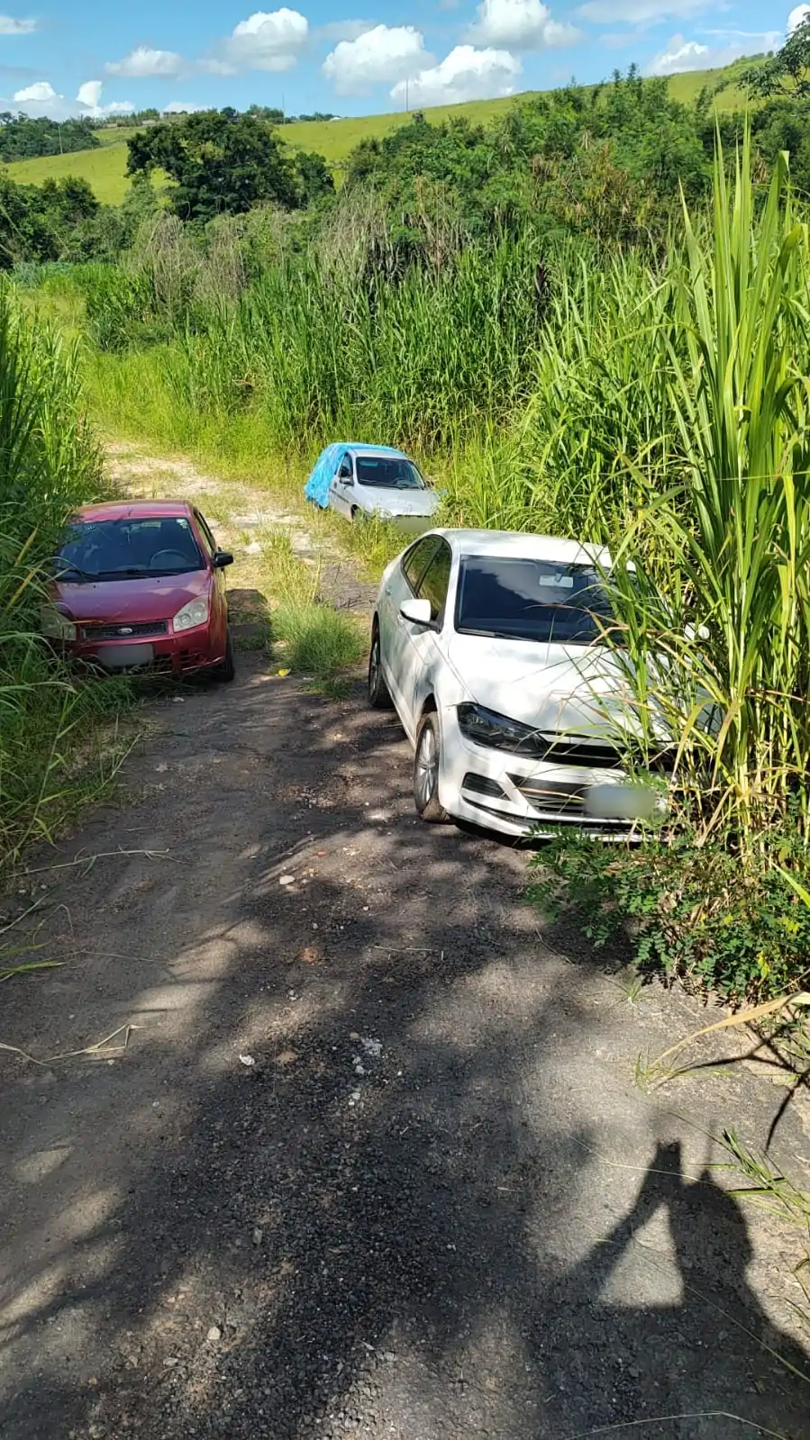 Carros foram localizados em uma área de mata 