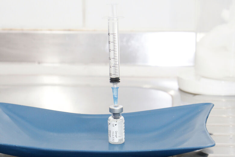 Saúde reforça importância da vacina para dengue e febre amarela às vésperas do carnaval