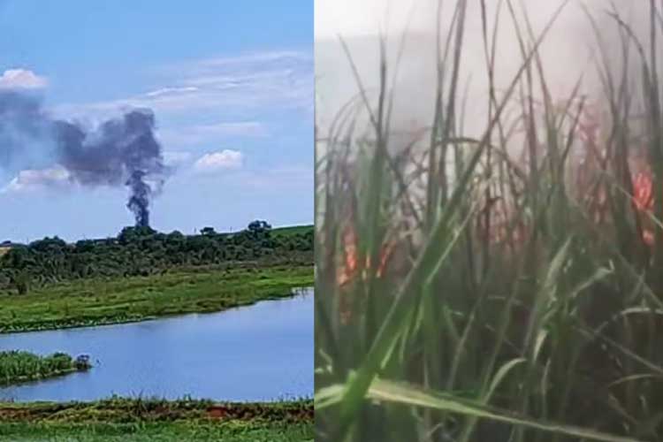Aeronave de pequeno porte caiu em um canavial neste sáabdo (15)