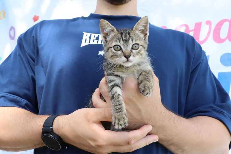 Suzano intensifica ações de combate a maus-tratos a animais