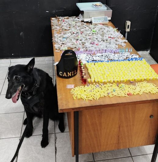 A ocorrência foi registrada por volta das 13h30 na rua Cacique, durante patrulhamento