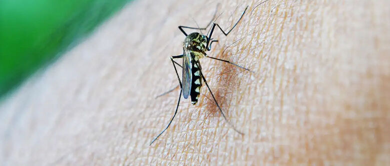 Registros dos casos de dengue e Covid nas cidades da região preocupam 