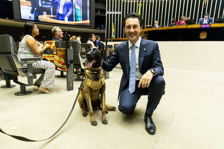 Gambale destacou o papel essencial dos protetores independentes