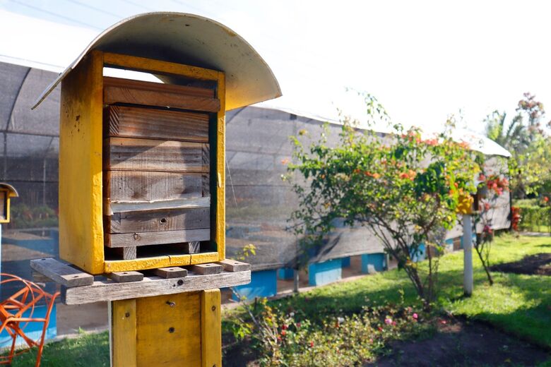 Viveiro Municipal celebra natureza e cidadania em evento