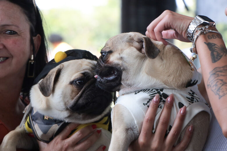 Meio Ambiente leva serviços gratuitos para cachorros e gatos em ações no fim de semana