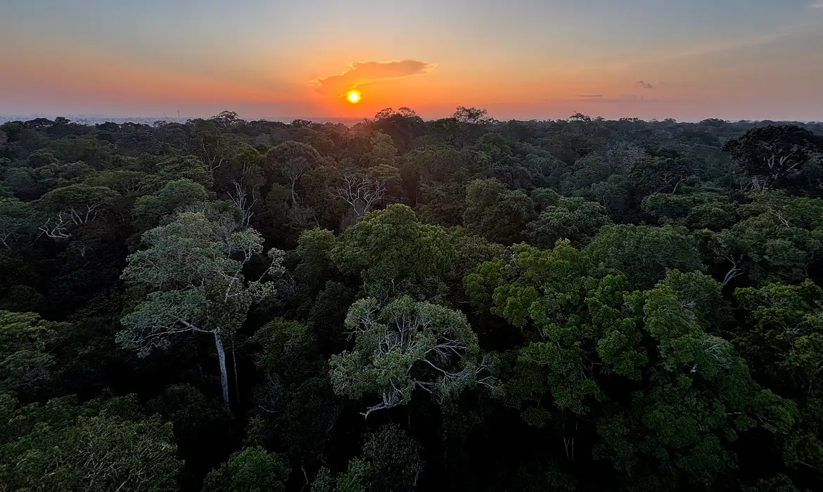 Abertura será às 19h