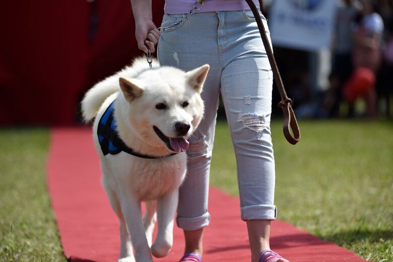  ação será realizada neste domingo (04/05), das 10 às 13 horas, no Parque Municipal Max Feffer
