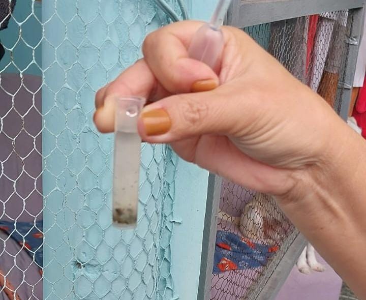 Poá intensifica combate ao Aedes Aegypti com levantamento larvário