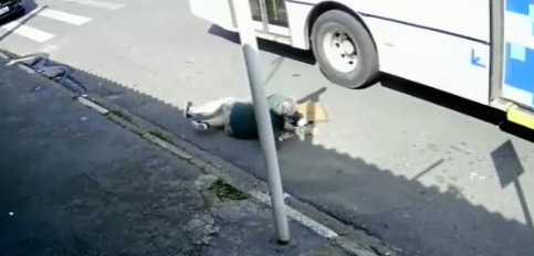 Idosa teve algumas escoriações