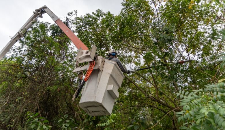 Ação de podas de árvores vai prevenir acidentes em Mogi