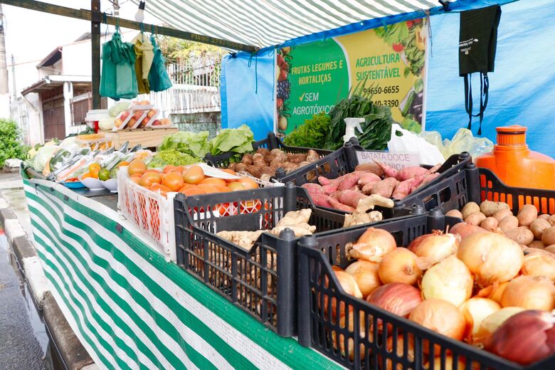 Feiras livres: Suzano se destaca pela oferta de produtos agroecológicos e orgânicos