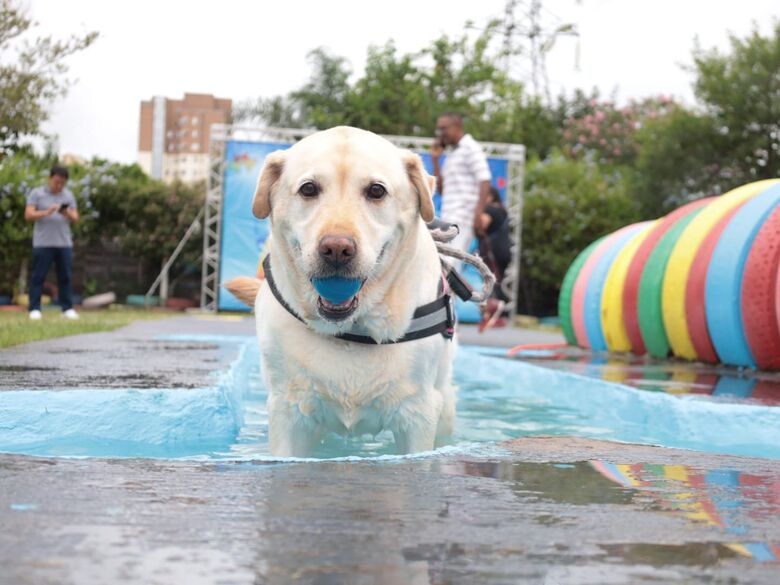 PlayPet incentiva bem-estar animal com área exclusiva para agility e recreação