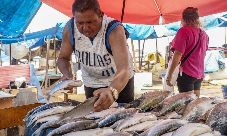 Setores de pescados e cítricos apontam primeiros impactos de medidas