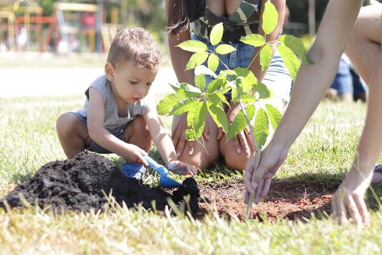 Balanço aponta 294 animais adotados e 550 árvores plantadas