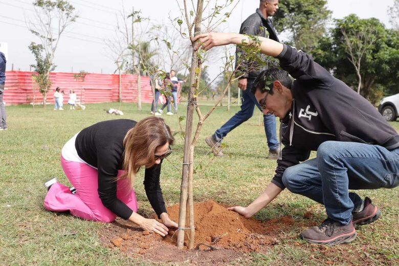 Suzano aumenta a cobertura vegetal e preserva áreas que devem ser protegidas 