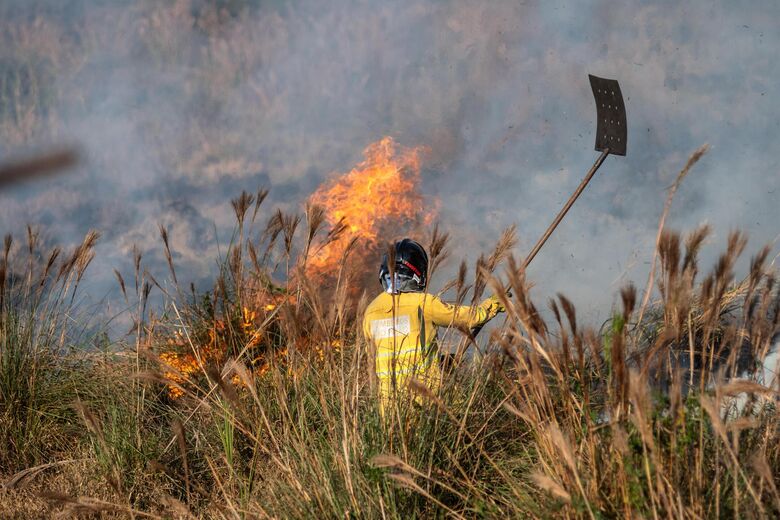 Incêndio atinge área de mata em Mogi