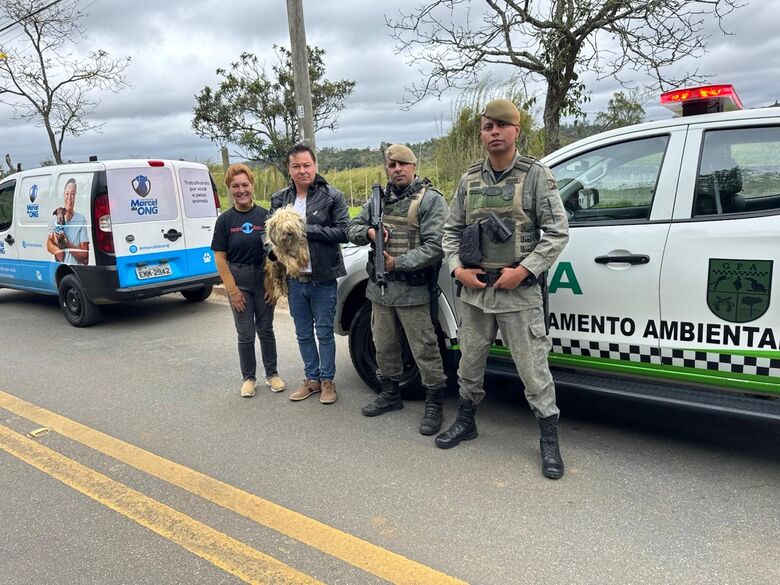 Vereador Marcel da ONG recebe pedido de ajuda, e GPA resgata cachorro